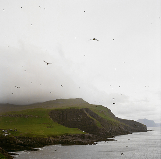 
			<br /><em>One million puffins
			<br /><br /><br /><br />| Mykines Island
			<br /></em>